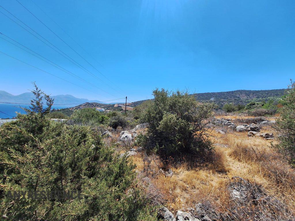 Земельный участок в Амударе, фото №8, объявление №2548724