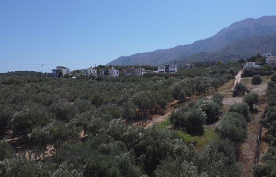 Земельный участок в Ханье