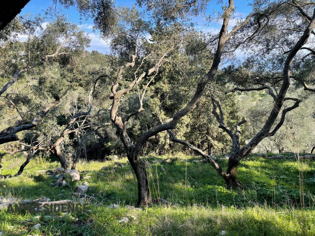 Земельный участок в регионе Пелопоннес—Западная Греция—Ионические острова, фото №5, объявление №2077120