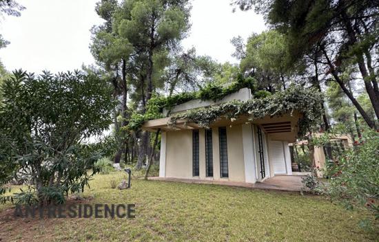 Поместье в Сани