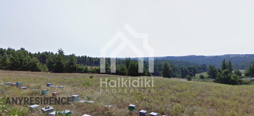 Земельный участок в Халкидики, фото №5, объявление №1848135