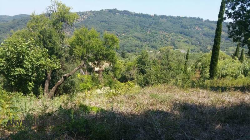 Вилла в Агиос-Георгиосе, фото №1, объявление №2423050