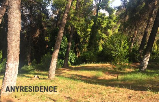 Отель в Кассандре