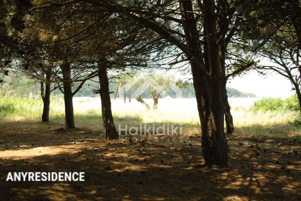 Инвестиционная земля в Халкидики, фото №3, объявление №2081886