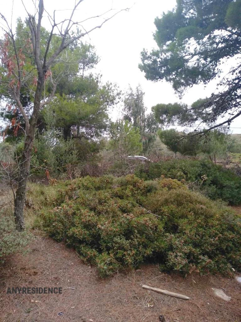 Земельный участок в Афинах, фото №4, объявление №2284441