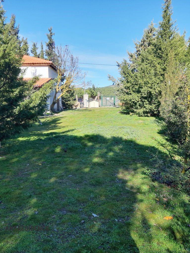 Земельный участок в Беотии, фото №1, объявление №2284579