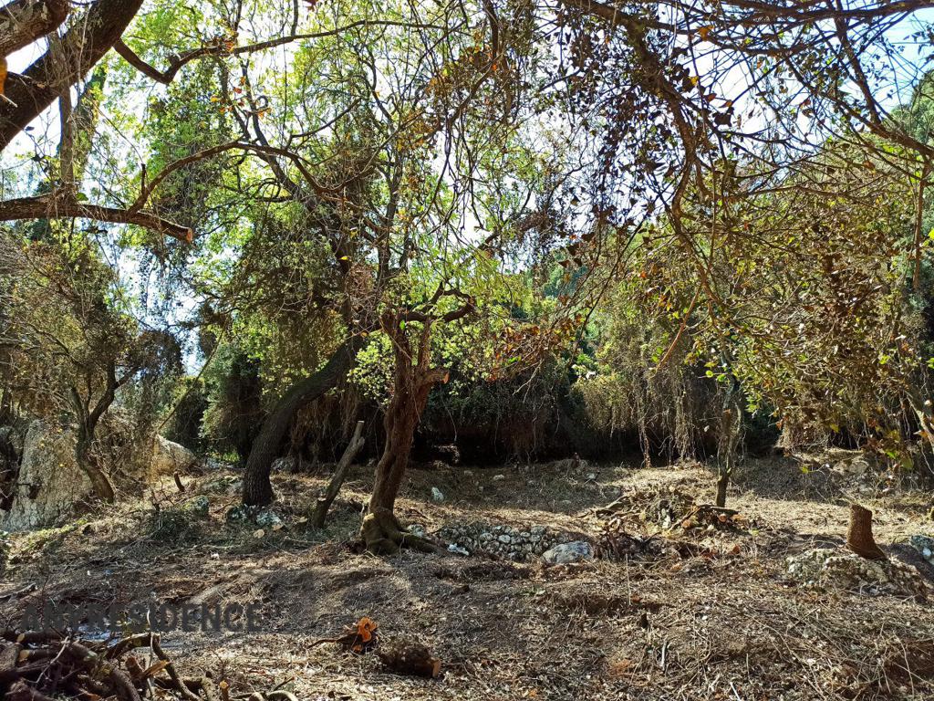 Земельный участок на Корфу (Керкире), фото №5, объявление №2061740