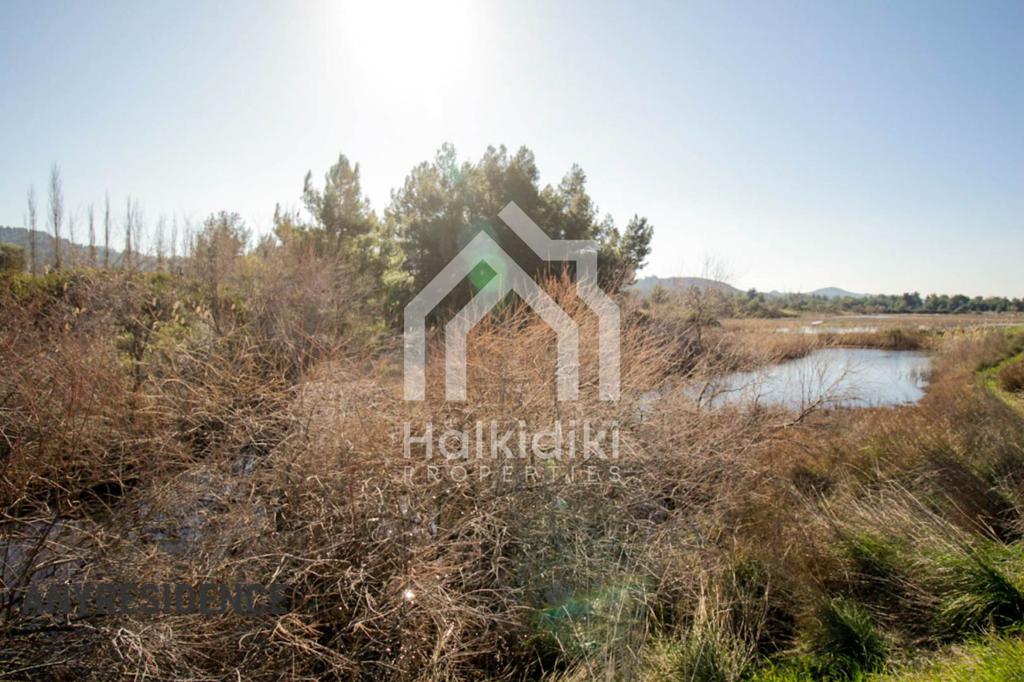 Земельный участок в Халкидики, фото №6, объявление №1848276